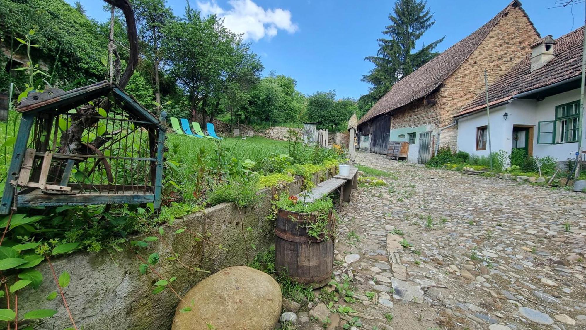 Saschiz 175 Guesthouse Exterior photo