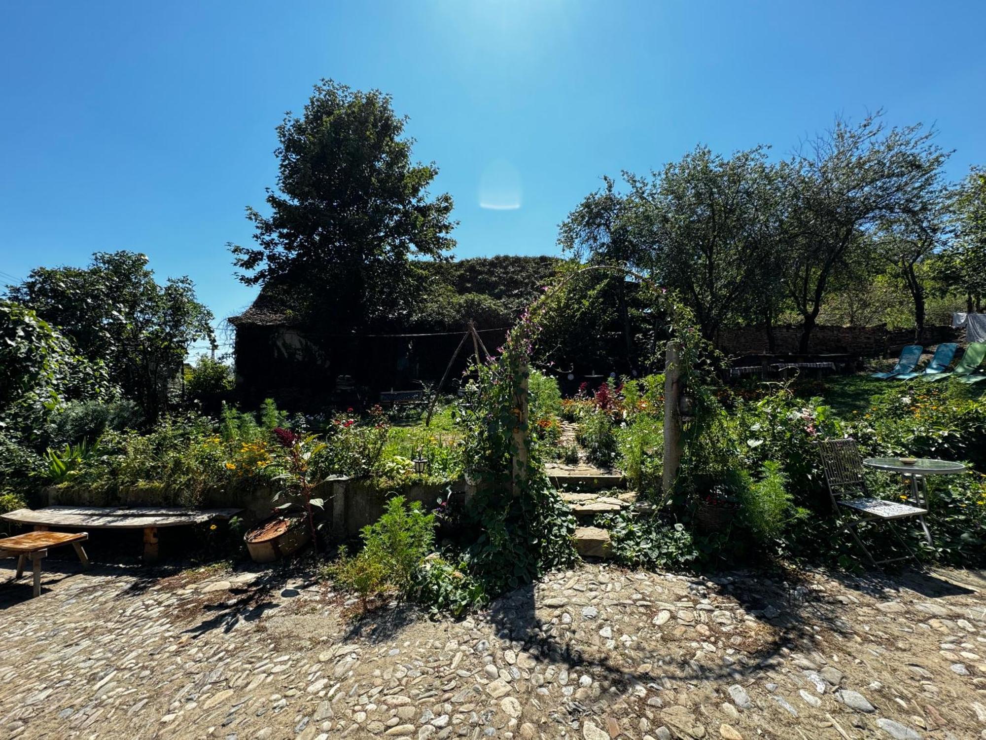Saschiz 175 Guesthouse Exterior photo